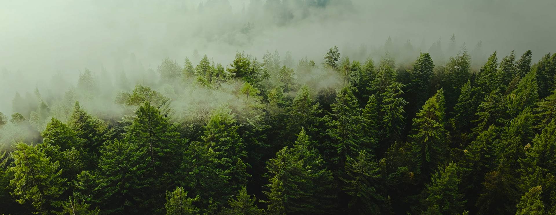 Nantong Sufang Textielco., Ltd.